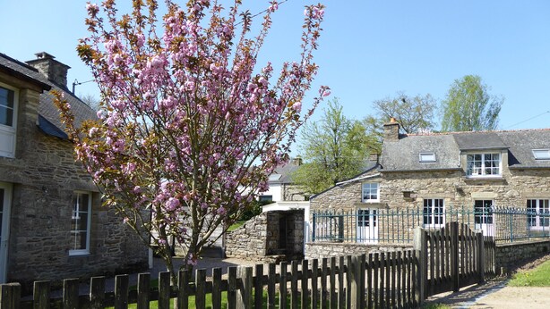 A stone building with a wooden fence, a tree with pink blossoms, and a clear blue sky. - Country house with indoor pool, near Rochefort en terre; 2 stars. (Saint-Gravé)