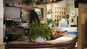 Zona de bar con una máquina de café, una planta en maceta y estantes con botellas y vasos.