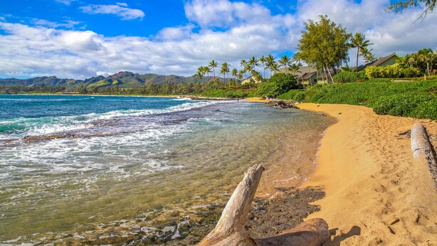 A beach with clear water, a sandy shore, and a backdrop of mountains and palm trees. - Islander on the Beach 232: Beach Resort Room w/ View, AC & Kitchenette (Kapa'a)
