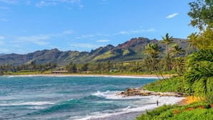 A coastal landscape with a beach, ocean waves, and a mountainous backdrop. - Islander on the Beach 232: Beach Resort Room w/ View, AC & Kitchenette (Kapa'a)