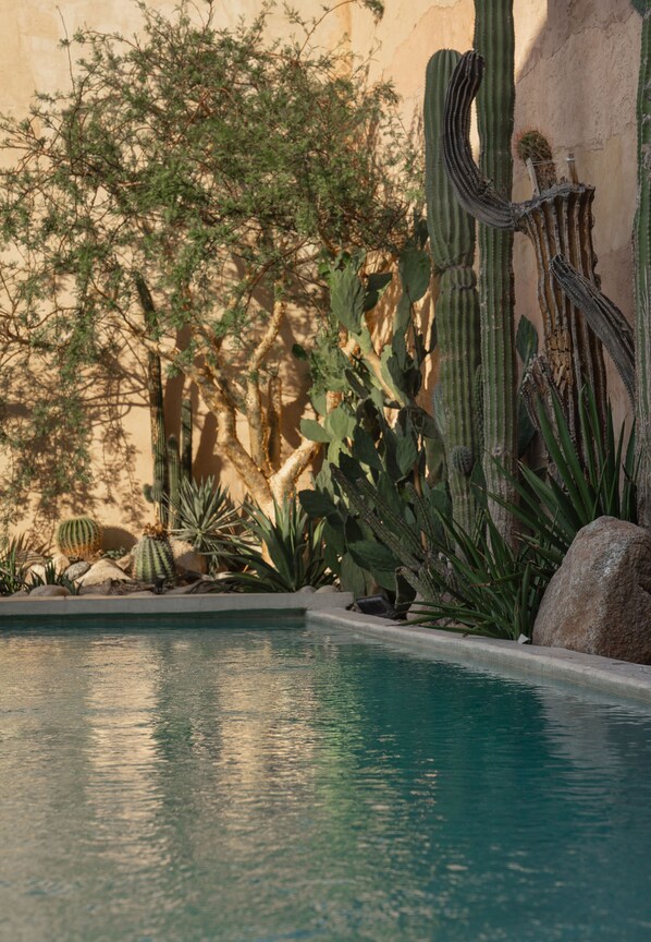 Outdoor pool - Casa Bo (La Paz)