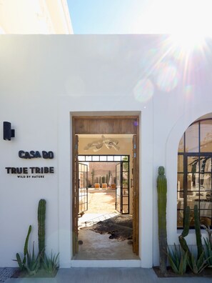 Reception - Casa Bo (La Paz)