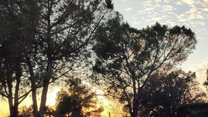 A swimming pool with a clear view of trees and a sunset in the background. - Charming farmhouse, surrounded by vineyards with a private pool in the  nature (Castellet i La Gornal)