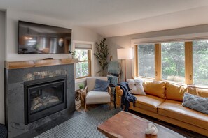 TV connectée, cheminée, livres