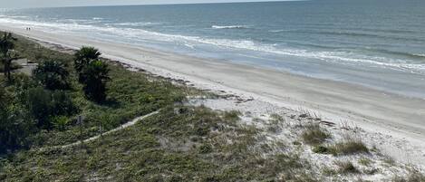 A beach with a clear sky and ocean.