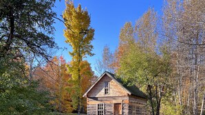 A rustic cabin with a wooden deck and picnic table in a wooded area. - Cozy Home located in downtown Big Bay (Big Bay)