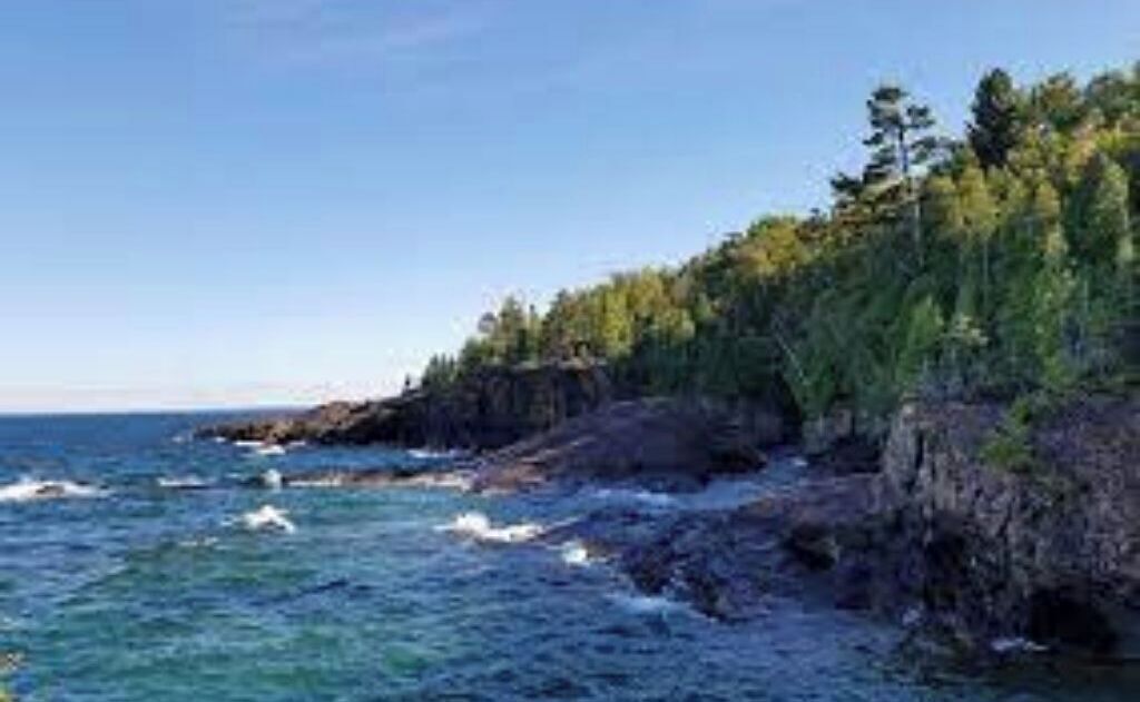 A coastal landscape with rocky terrain and dense vegetation.
