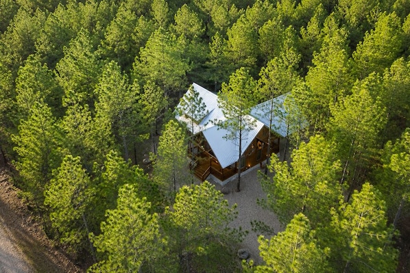 A cabin surrounded by dense forest.