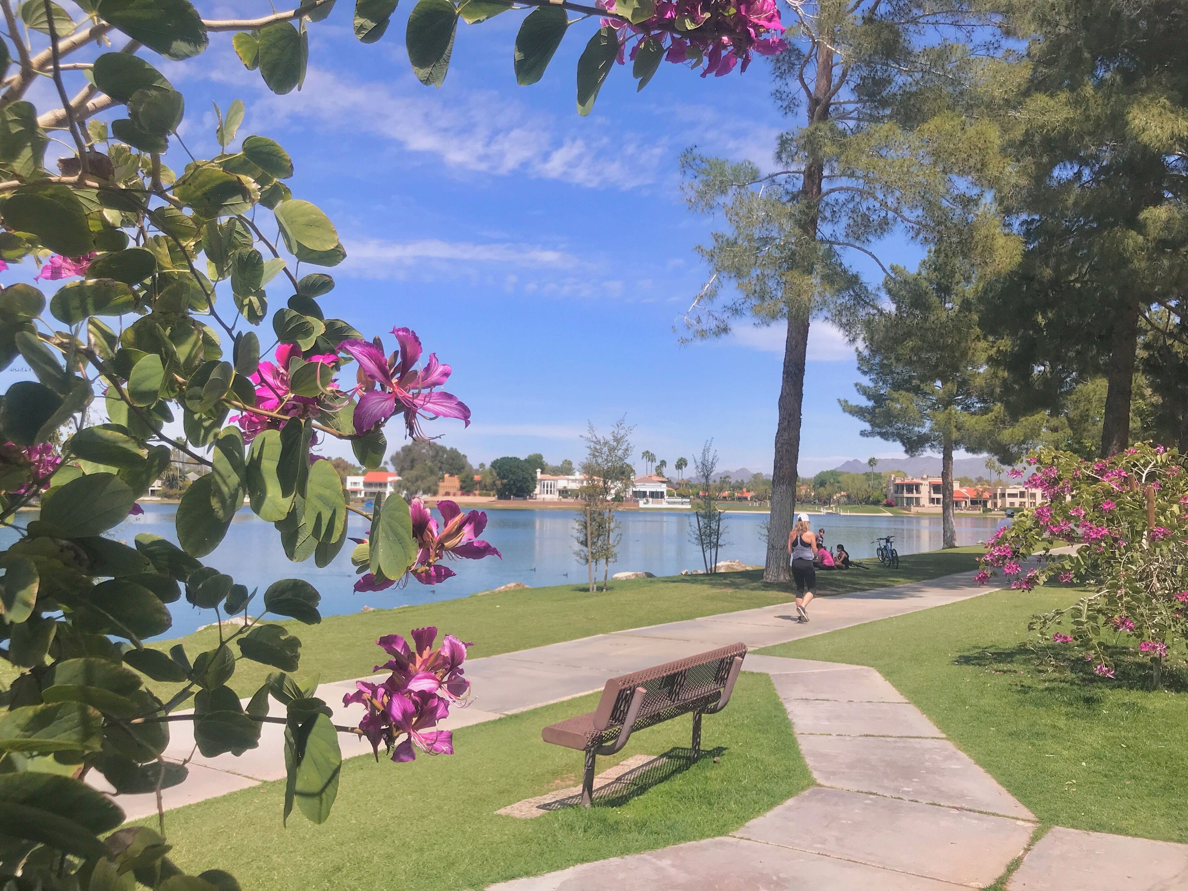 Sunlit Villa on McCormick Lake & Trail! Best Scottsdale location!
