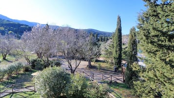 Apartment | 1 Schlafzimmer