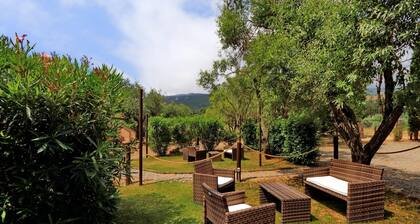 Pimpinnacolo 1 - 1BR M2