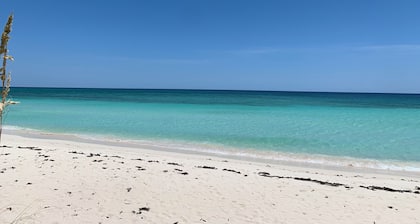 Ground floor condo with private beach. Pet friendly