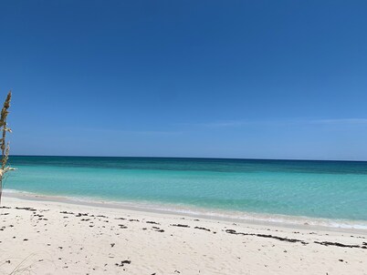 Ground floor condo with private beach.   Pet friendly 