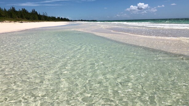 Une plage avec une eau claire et peu profonde, un rivage sablonneux et une rangée d’arbres en arrière-plan.