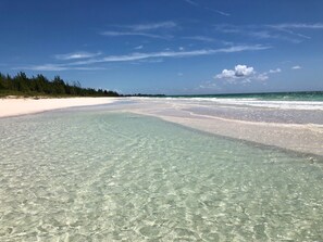 Une plage avec une eau claire et peu profonde, un rivage sablonneux et une rangée d’arbres en arrière-plan.