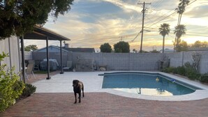 Un jardin avec une piscine, un patio couvert et une terrasse en briques.