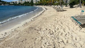 A beach with clear blue water, sandy shore, and palm trees. There are lounge chairs and a building with multiple balconies in the background. - Closest to the Sandy Beach/ Direct Ocean front / Full Back up Generator (East End, St Thomas)