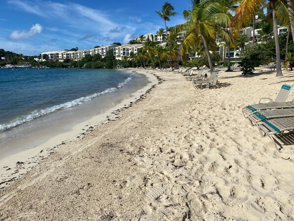 Une plage avec une eau d’un bleu limpide, un rivage sablonneux et des palmiers. On y trouve des chaises longues et, au fond, un bâtiment doté de plusieurs balcons.