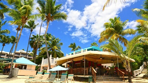 A beachside resort with a covered seating area, palm trees, and a building with a blue roof. - Closest to the Sandy Beach/ Direct Ocean front / Full Back up Generator (East End, St Thomas)