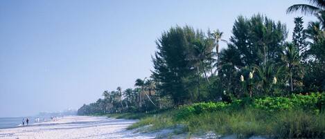 Sun loungers, beach towels