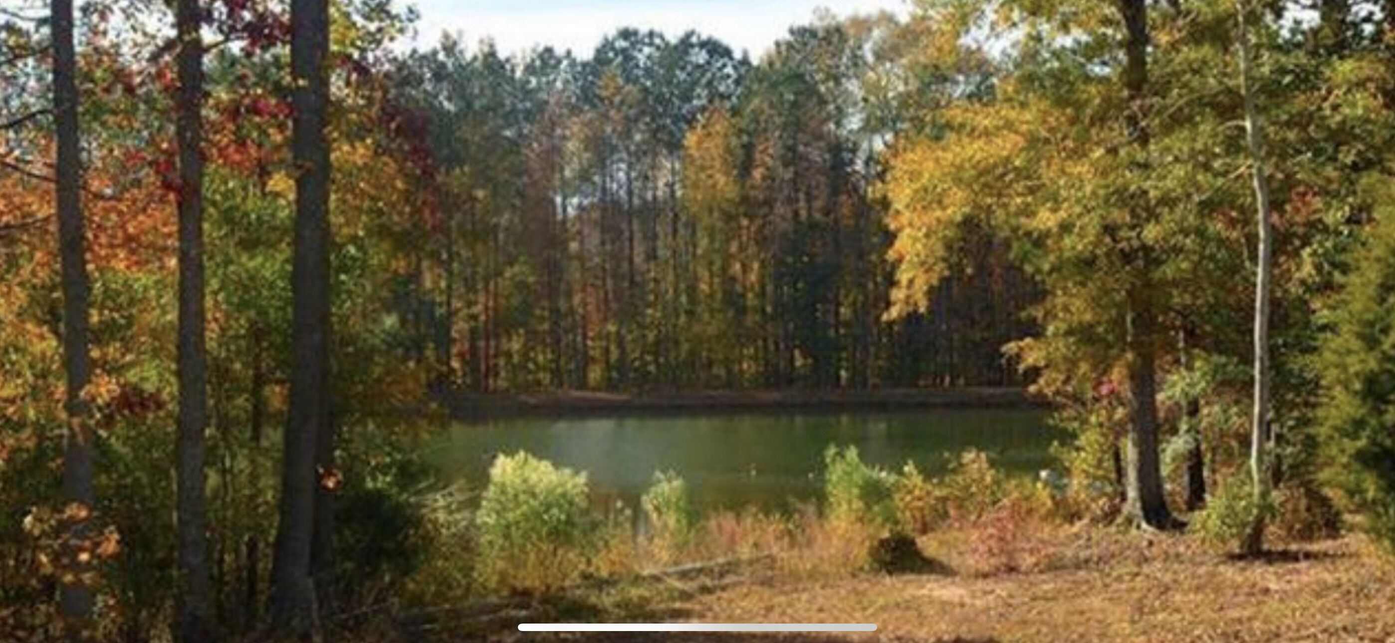 A forested area with a lake, surrounded by trees with autumn foliage.