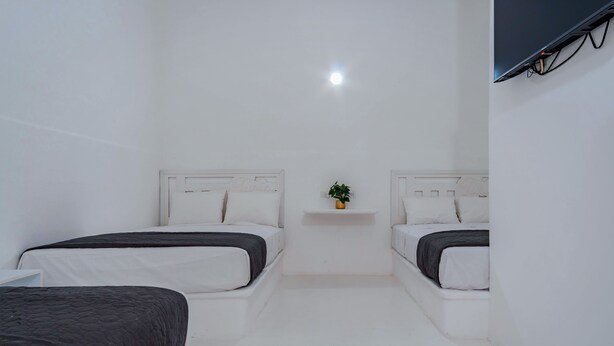 Habitación de hotel minimalista con dos camas, un pequeño estante con una planta y un televisor de pantalla plana montado en la pared.