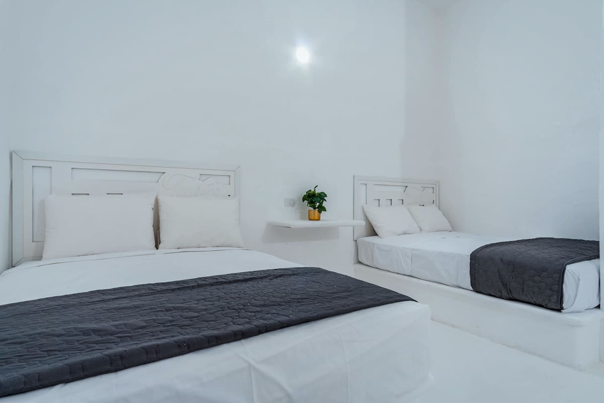 Una habitación de hotel con dos camas, una mesita de noche con una planta y una pared blanca.