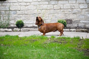 Exterior - Dream Stays Bath - Southbank (Bath)
