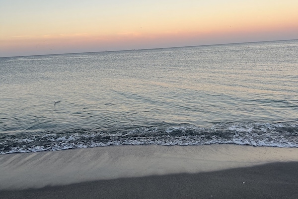 Chaises longues, serviettes de plage