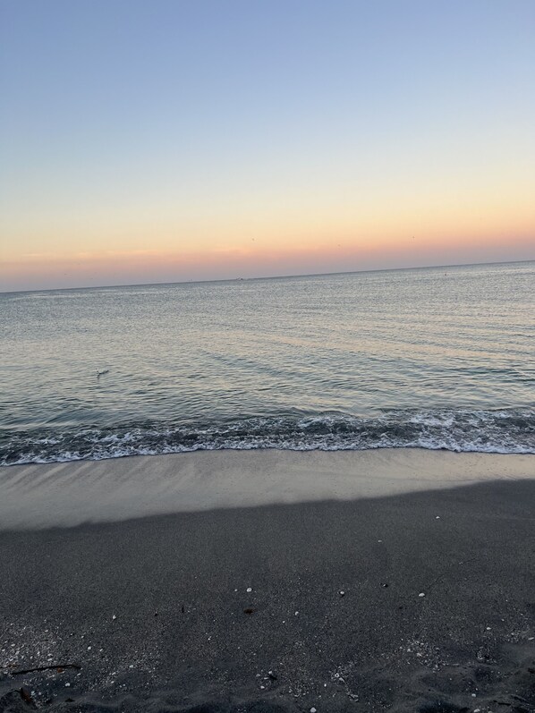 Chaises longues, serviettes de plage