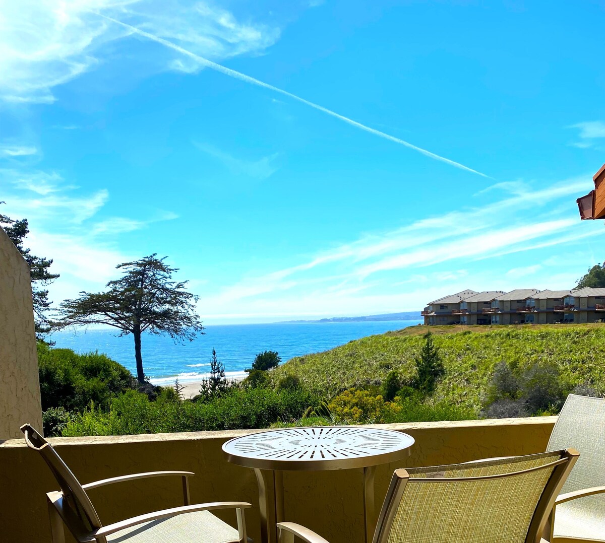 Imagen de perfil del propietario o de la propietaria