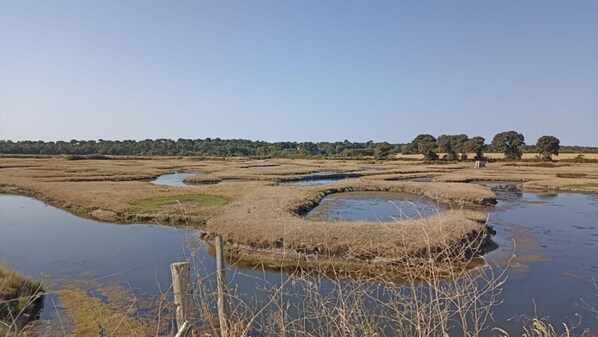 Un paysage naturel comprenant des étendues d’eau et des zones sèches.