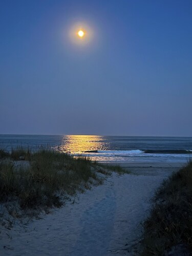 Cozy & pretty beach-block, 2-BR condo: short walk to ocean, restaurants & shops!