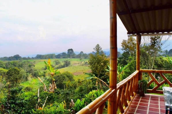 Property grounds - SARANNA CABIN (San Agustin)