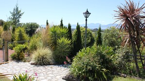 A garden pathway with various plants and a street lamp. - Large Country Home with Views - Spa Pool, Swimming Pool, Firepit, Games Room (Redwood Valley)