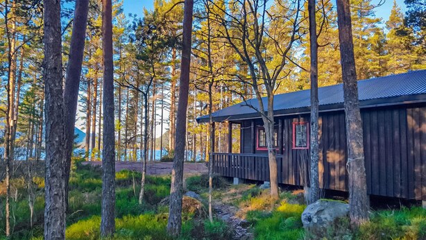 A cabin with a wooden exterior, surrounded by tall trees and a clear sky. - Awesome home in Fyresdal with kitchen (Fyresdal)