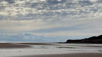 Vlak bij het strand, strandlakens