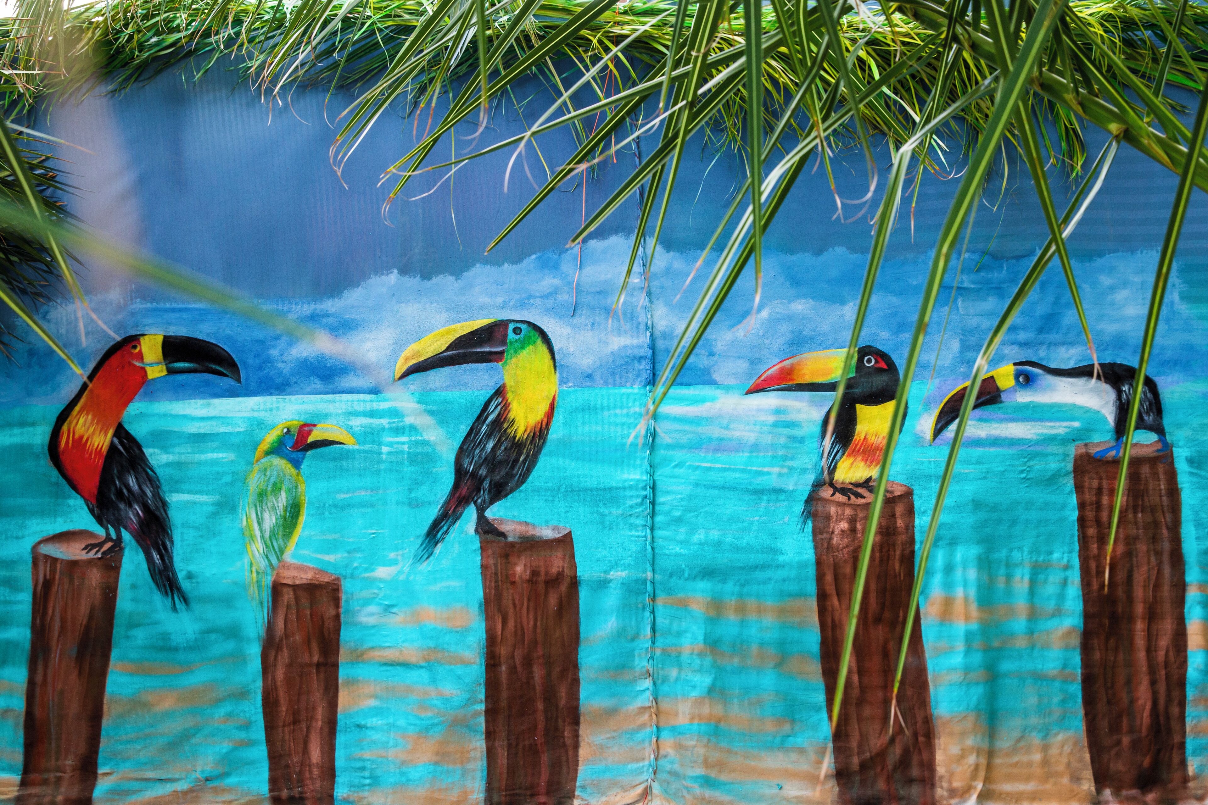 Une fresque représentant des toucans aux couleurs vives, perchés sur des poteaux en bois, sur un fond bleu peint.