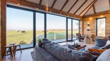 Een televisie en een open haard