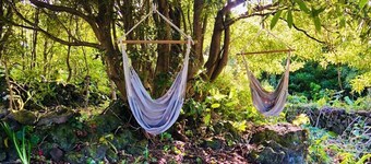 Quinta Pereirinha Farmhouse - Private Vacation Home