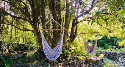 Quinta Pereirinha Farmhouse - Private Vacation Home