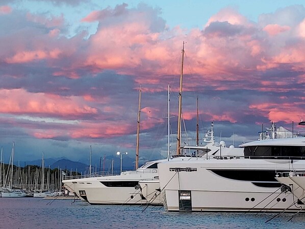 En småbåtshamn med flera yachter förtöjda.