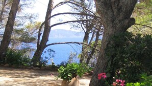 Un sendero de piedra conduce a una maceta grande de terracota con follaje, rodeado de árboles y vistas al mar.