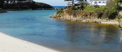 Plage, chaises longues, serviettes de plage