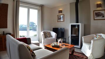 Télévision, cheminée, lecteur de DVD, livres