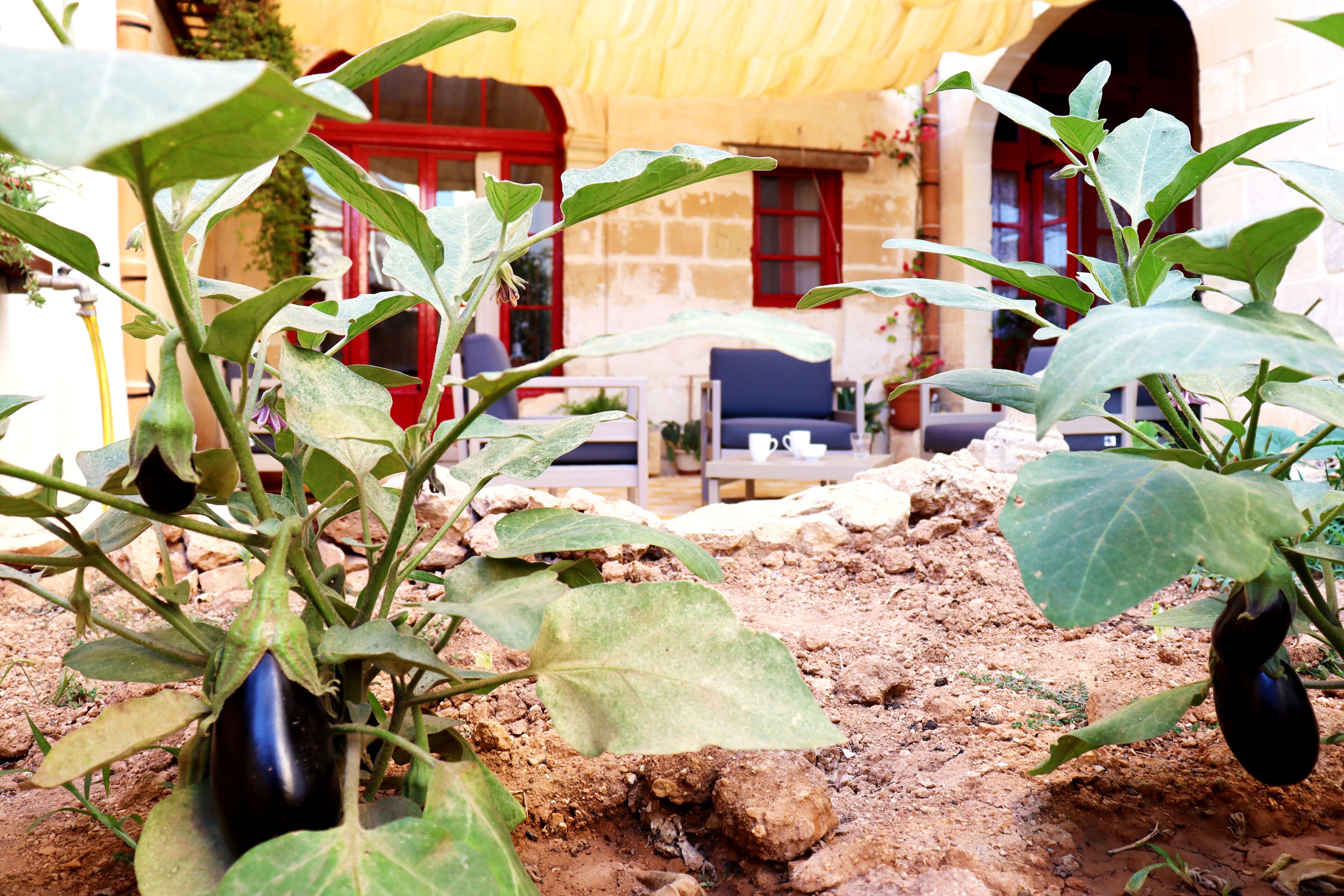 Photo - Il-Bàrraġ Farmhouse B&B - Gozo Traditional Hospitality