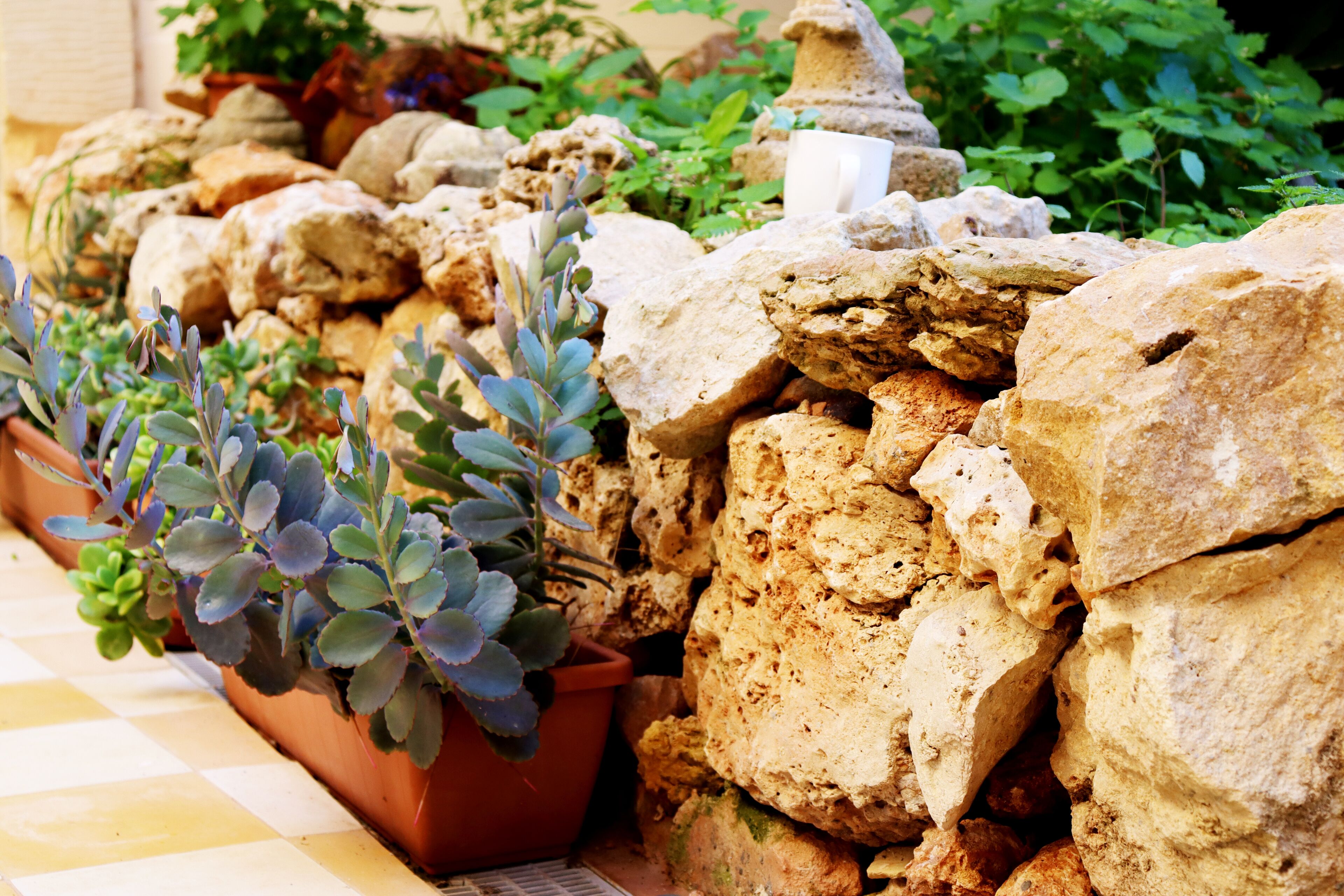 Photo - Il-Bàrraġ Farmhouse B&B - Gozo Traditional Hospitality