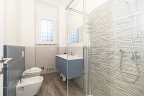 Shower, hair dryer, bidet, towels