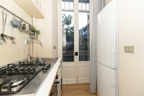 Fridge, stovetop, cookware/dishes/utensils