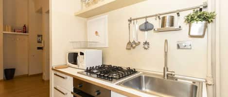 Fridge, stovetop, cookware/dishes/utensils